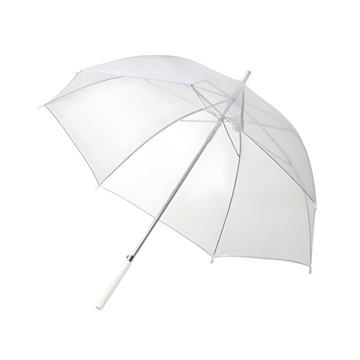a transparent umbrella